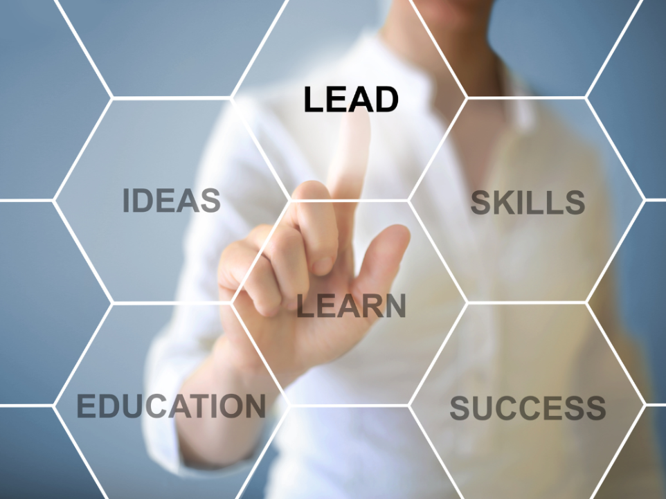 Lead Generation Executive Job Position at ProVAD Egypt
