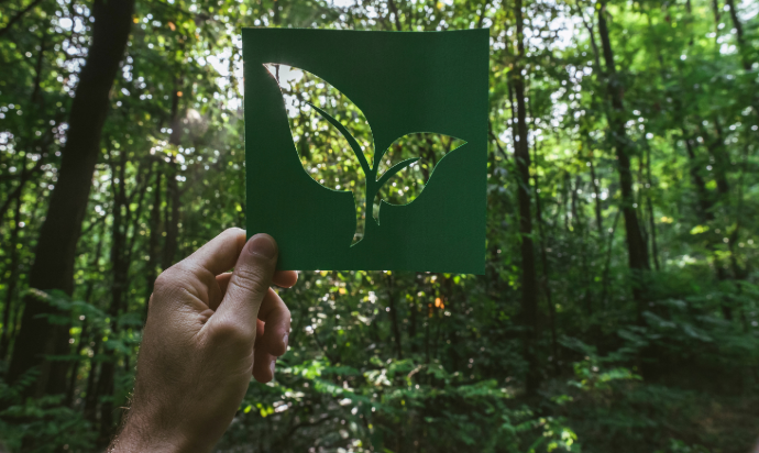 Social Responsibility at ProVAD - environmental commitment