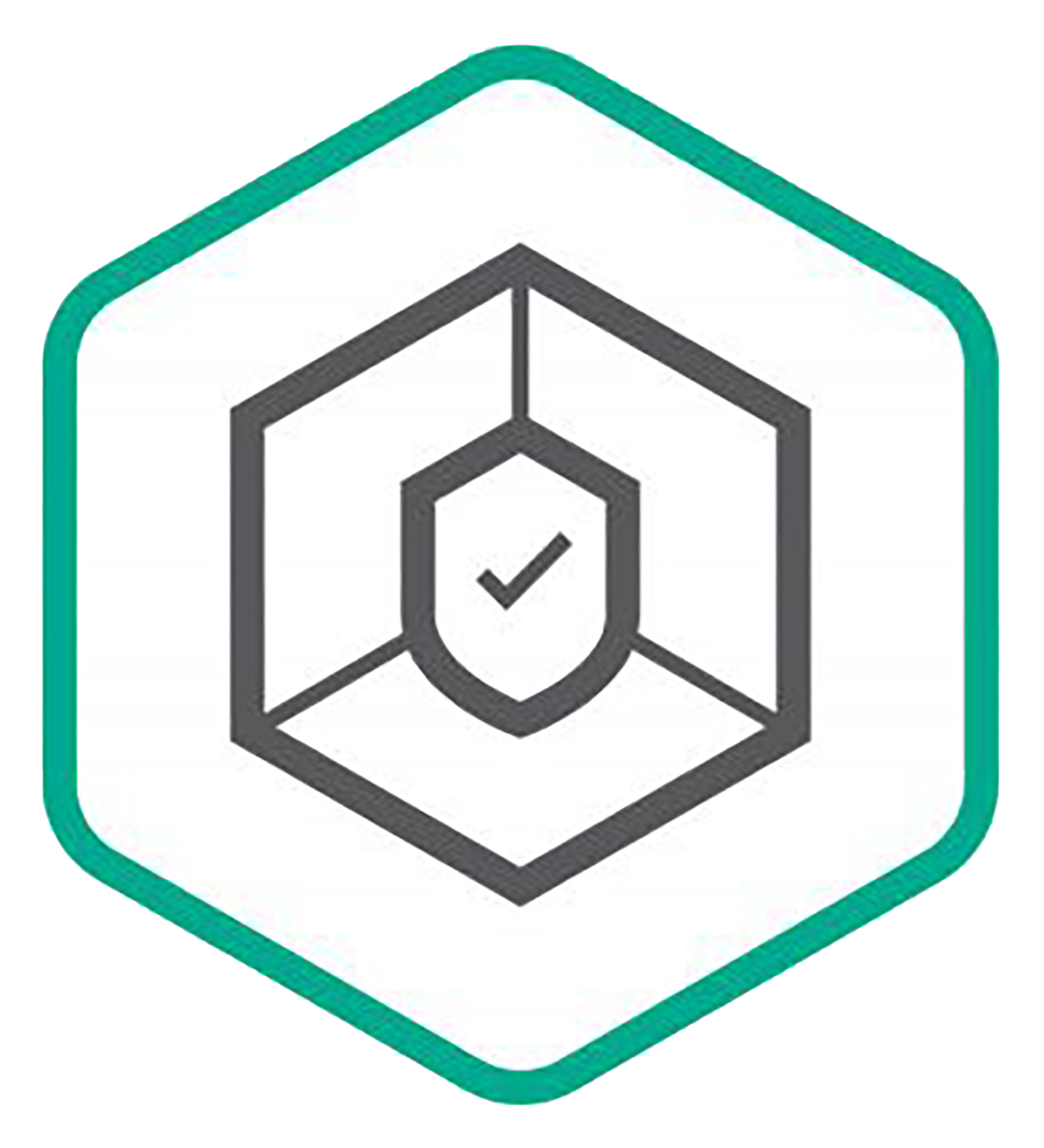Kaspersky Small Office Security by ProVAD